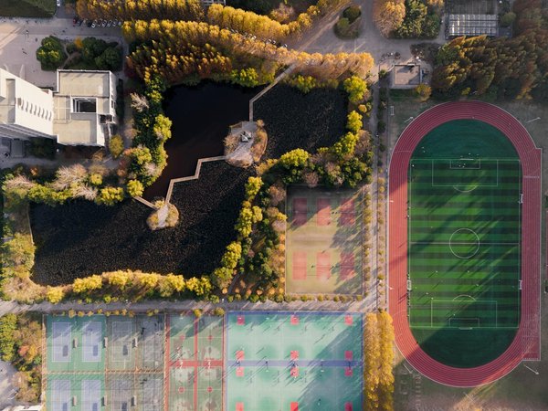 Qual è la differenza tra allenamento per la forza e allenamento per la potenza?